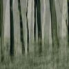 Rebel Walls pilttapeet Painted Trees R19153