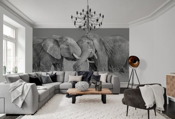 Rebel Walls pilttapeet Elephant Hug R19197