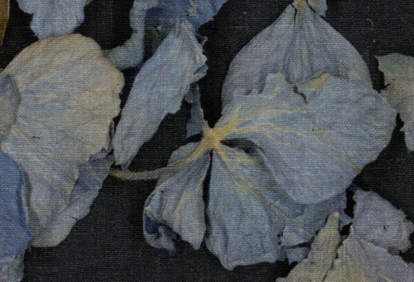 r19297_closeup1 Rebel Walls pilttapeet Fragile Beauty, Dark Blue R19297