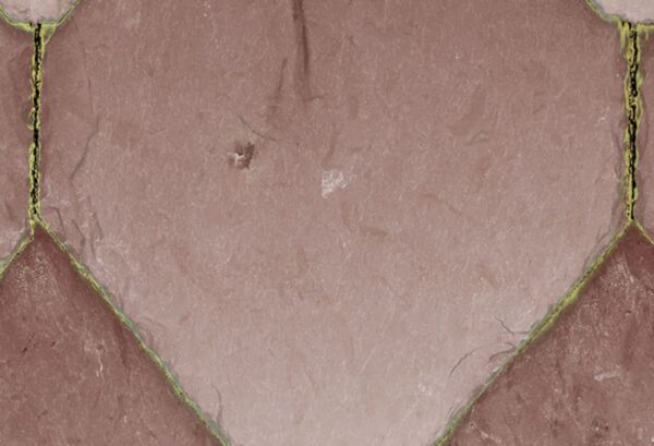 Rebel Walls pilttapeet Osaka Tiles, Pink R19332