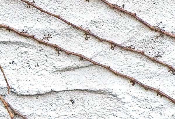 Rebel Walls pilttapeet Fade Away R19346