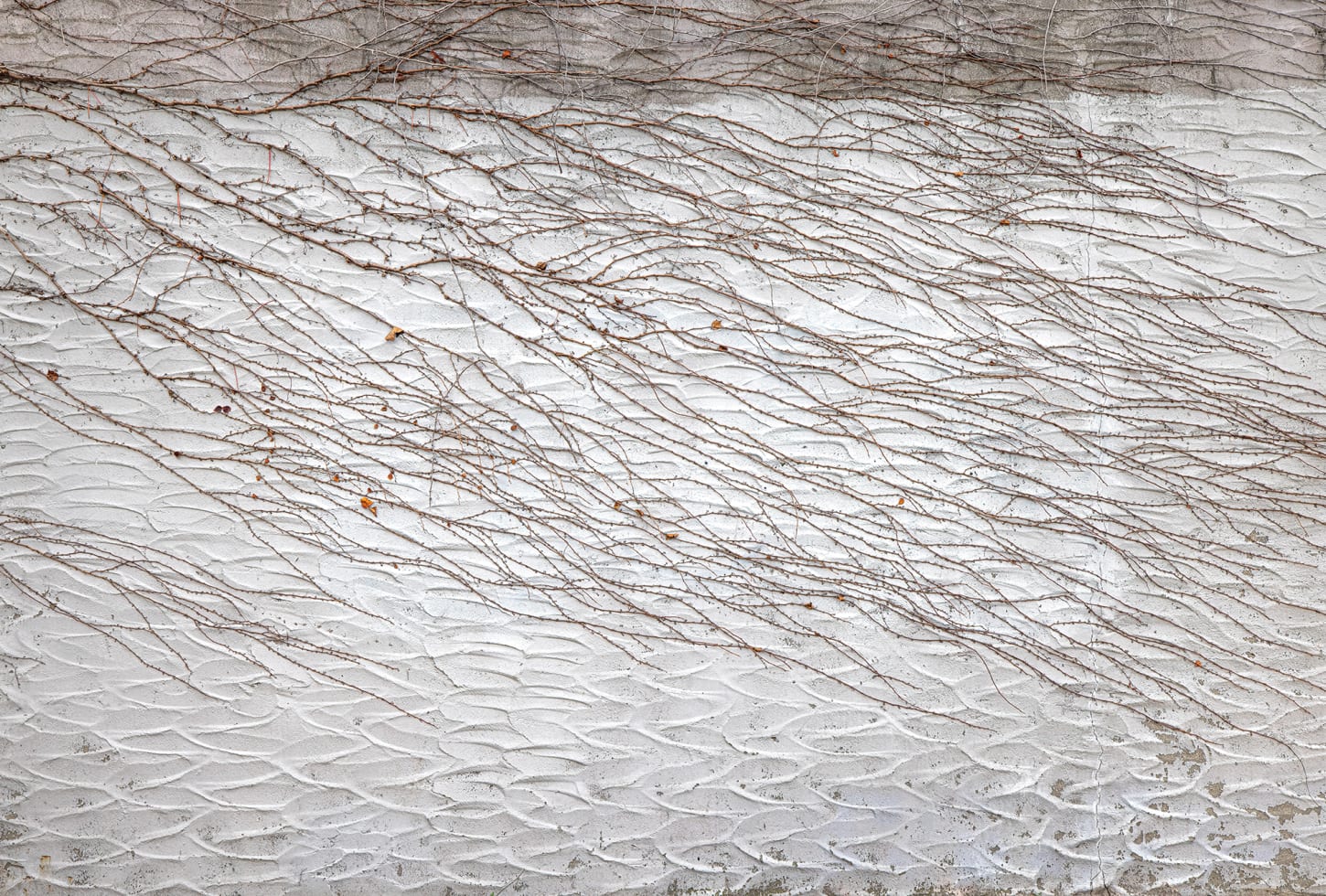 Rebel Walls pilttapeet Fade Away R19346