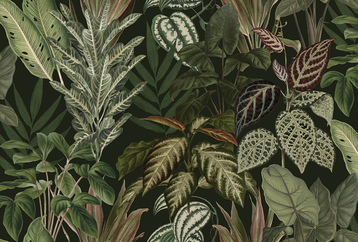 Rebel Walls pilttapeet Mischievous Jungle, Lush R19443