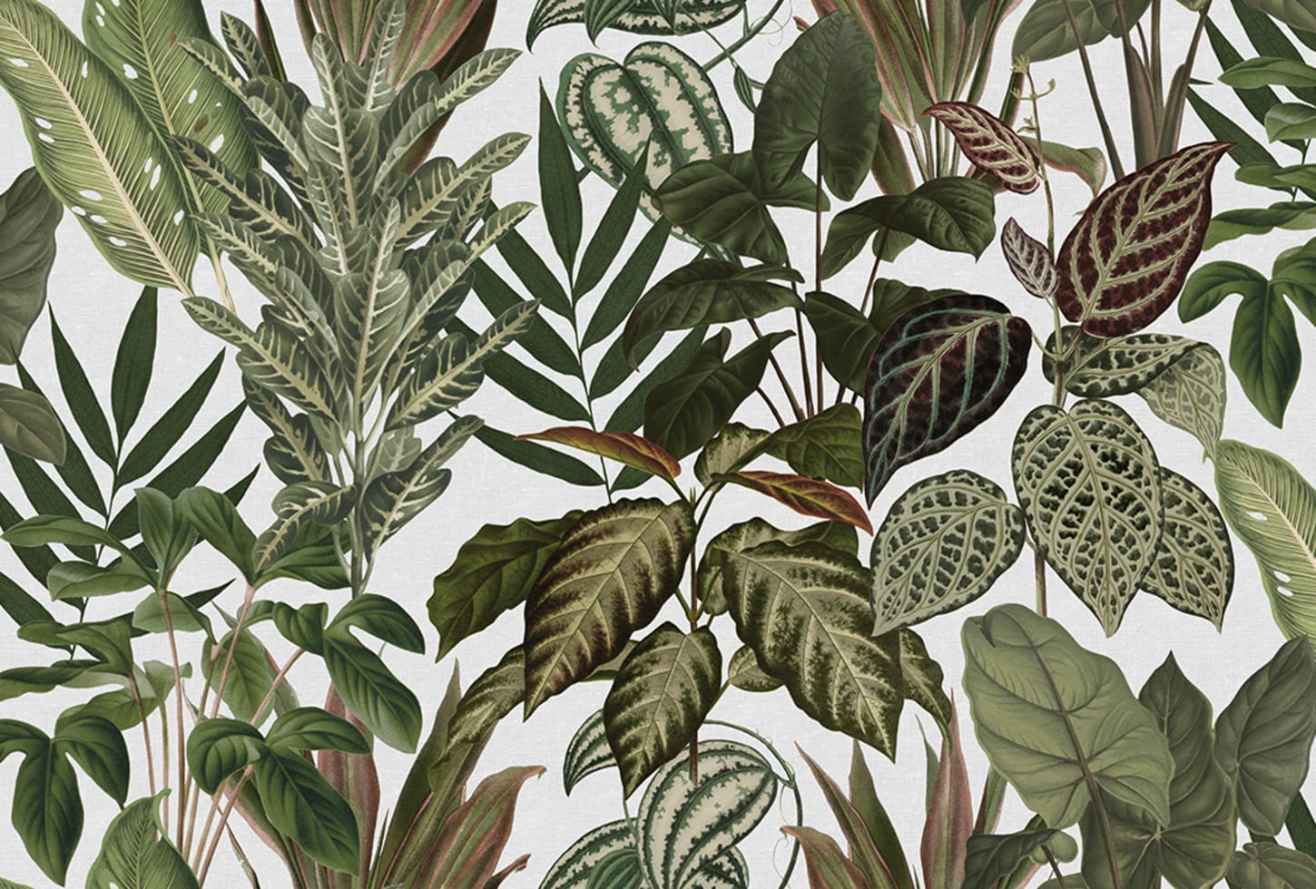 Rebel Walls pilttapeet Mischievous Jungle, White R19444