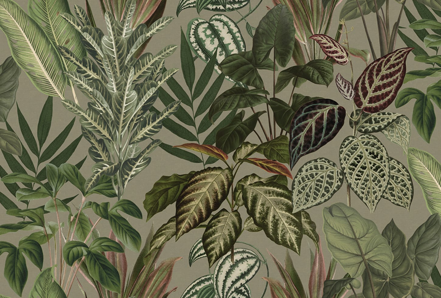 Rebel Walls pilttapeet Mischievous Jungle, Sand R19445