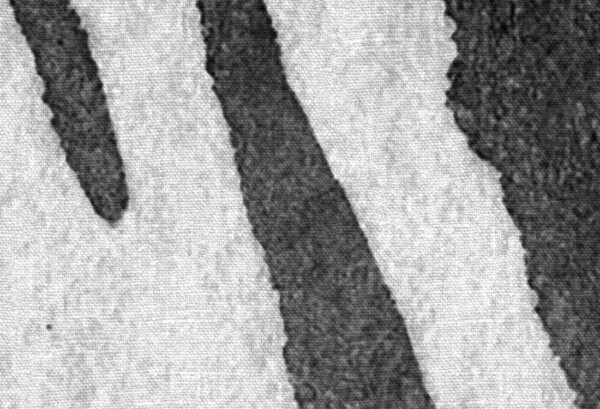 Rebel Walls pilttapeet Zebra Stripes, Graphite R19448