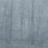 Sandberg pilttapeet Skog Misty Blue S10106