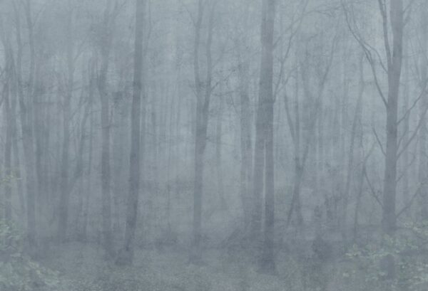 Sandberg pilttapeet Skog Misty Blue S10106