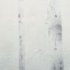 Sandberg pilttapeet Sundborn Winter S10178