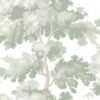 Sandberg tapeet Raphael, Light Green S10381