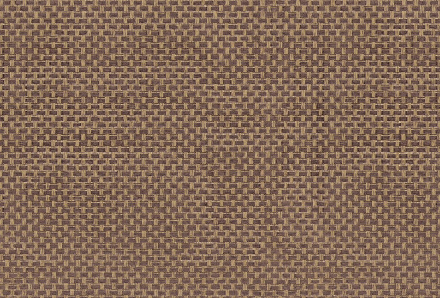 Omexco Twist TRU62 seinakate