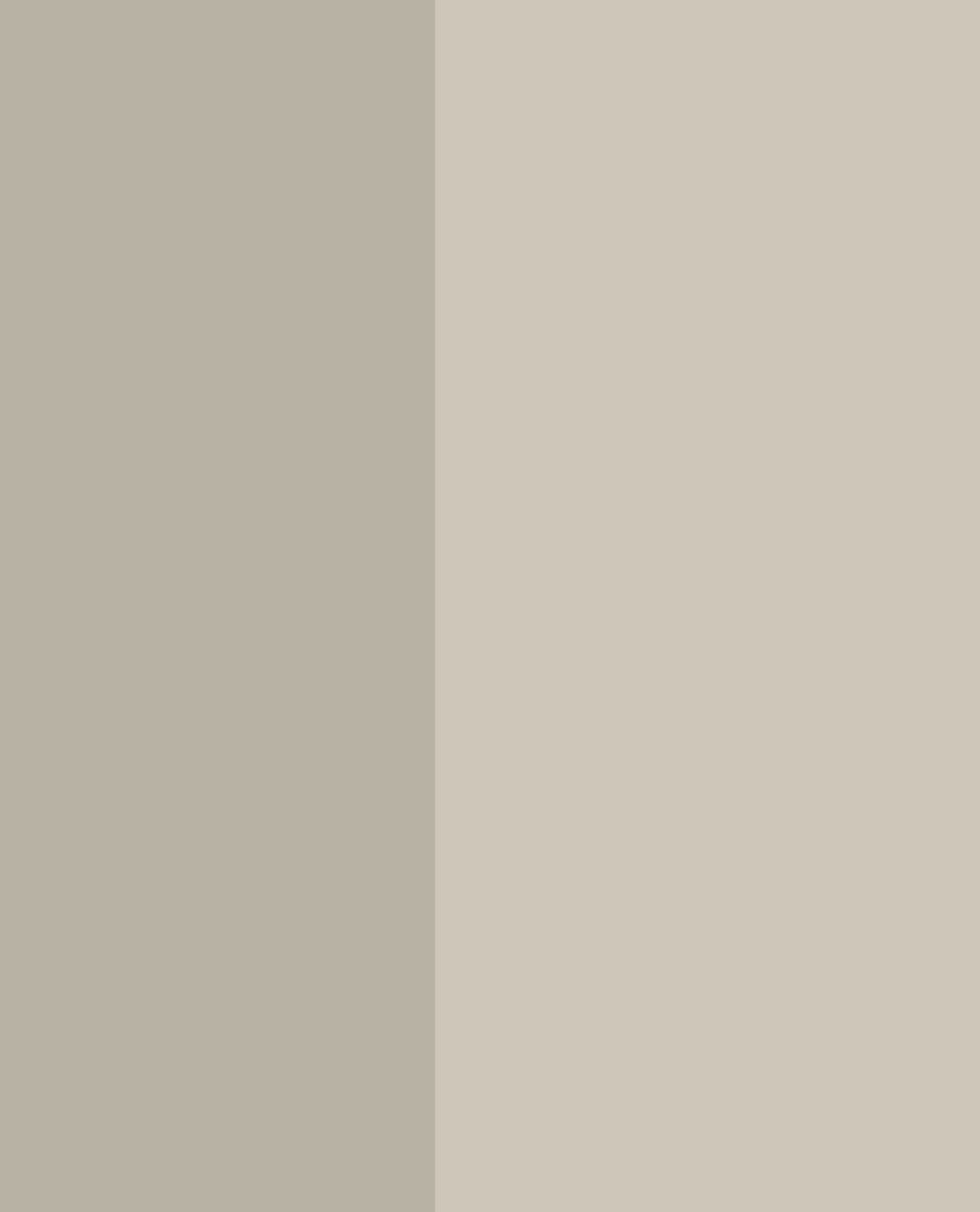 Eijffinger tapeet Stripes+ 377151