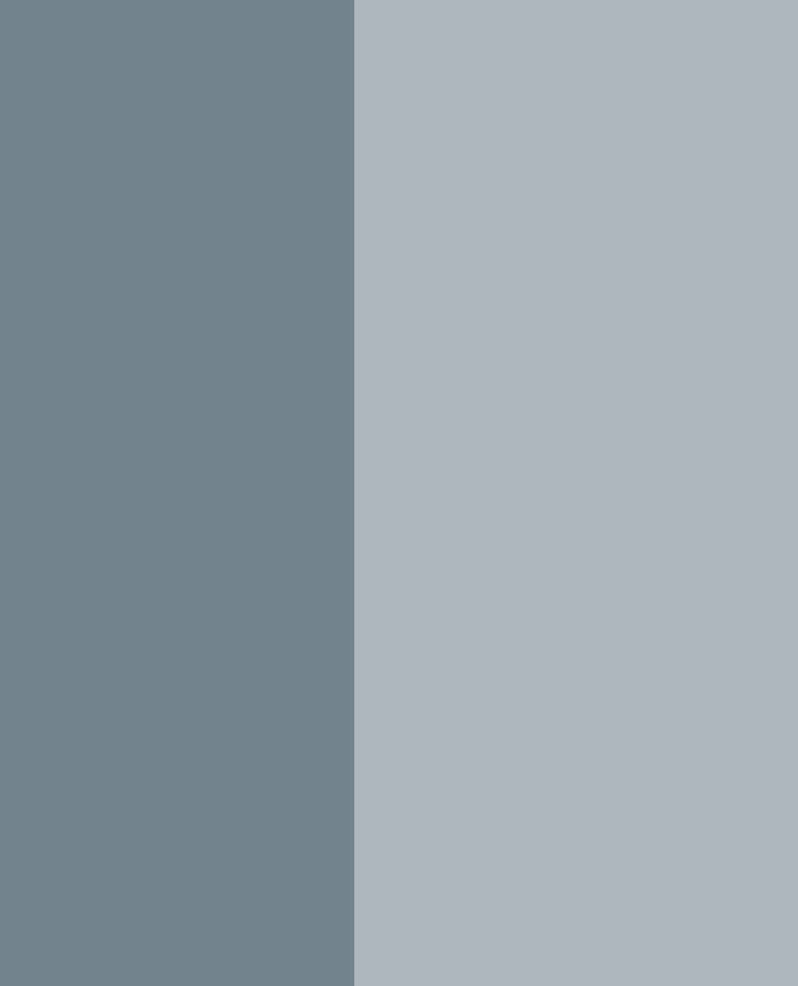 Eijffinger tapeet Stripes+ 377154