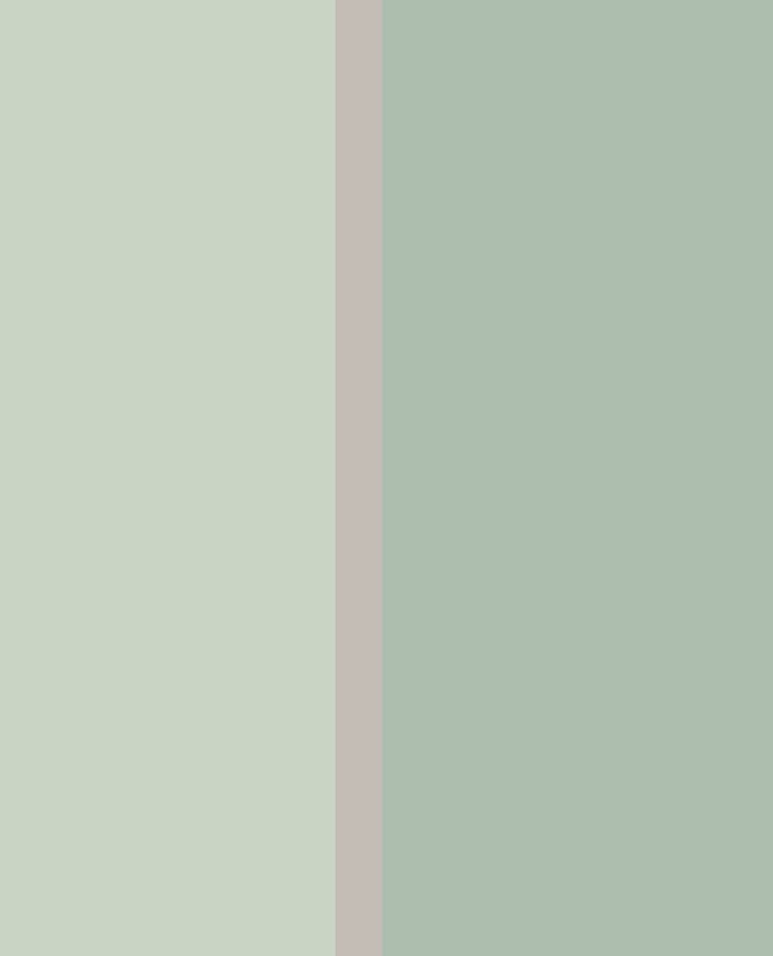 Eijffinger tapeet Stripes+ 377168