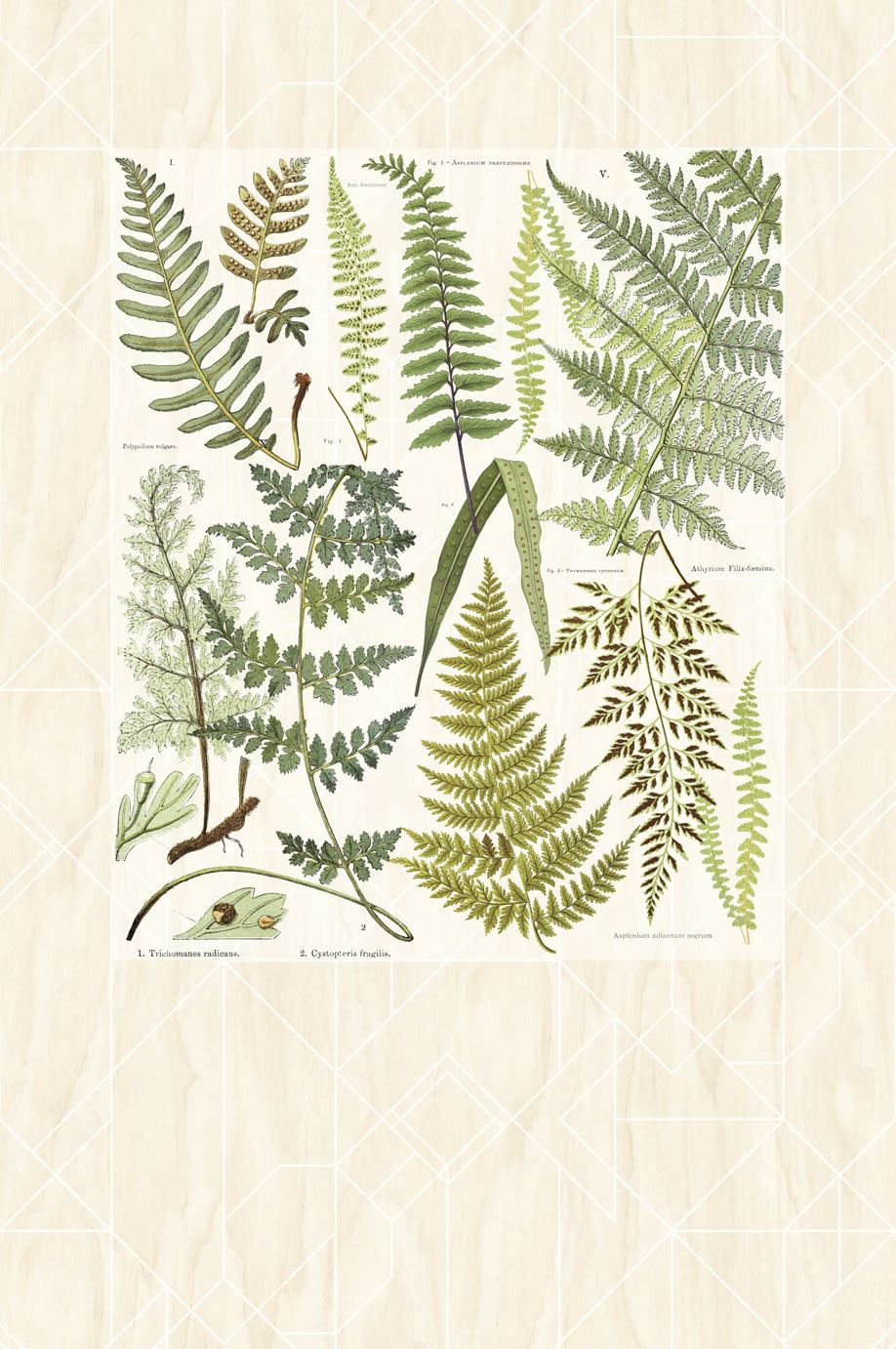 Eijffinger tapeet Geonature 366102