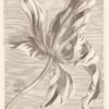 Eijffinger tapeet Masterpiece 358117