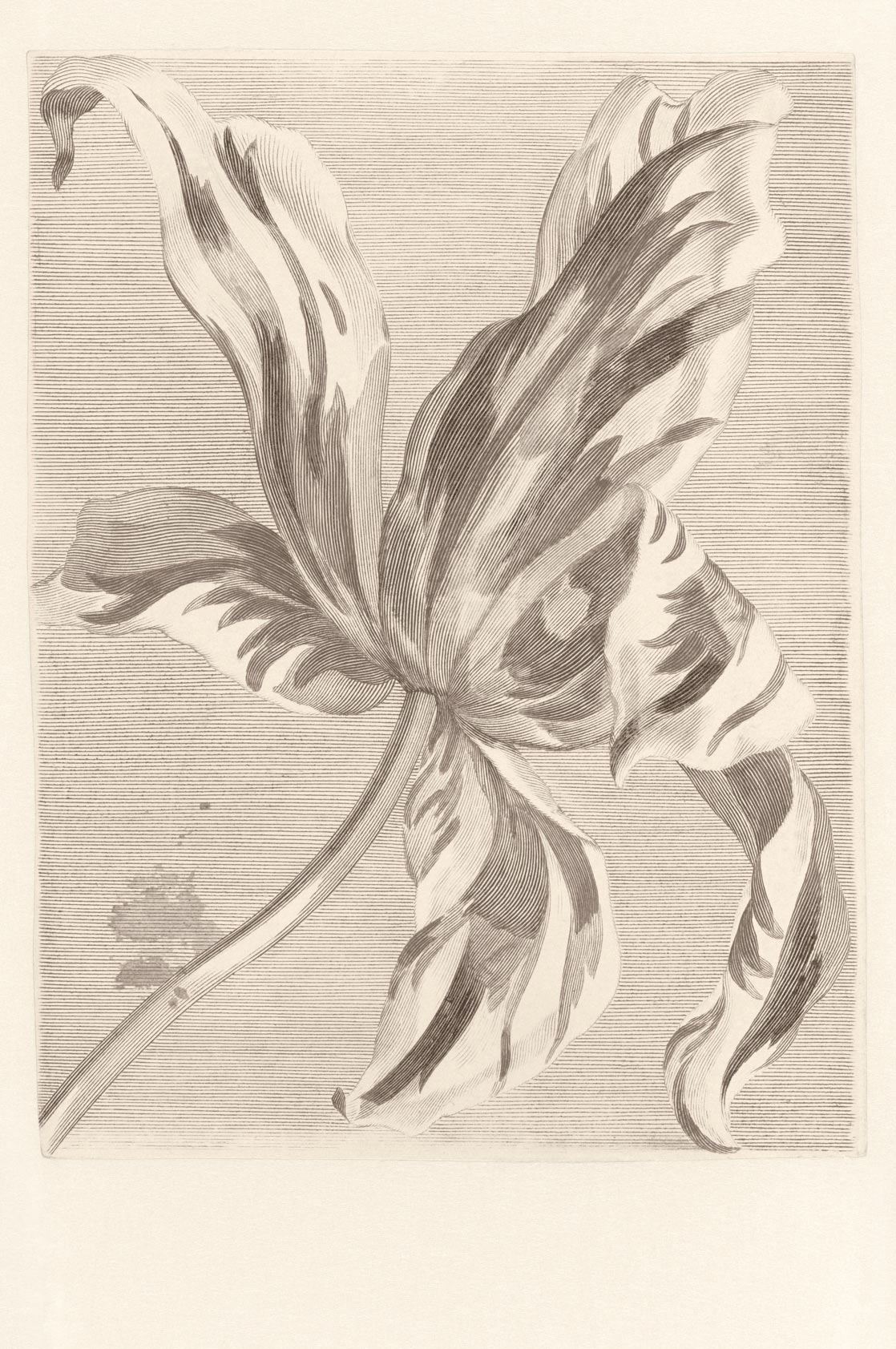 Eijffinger tapeet Masterpiece 358117
