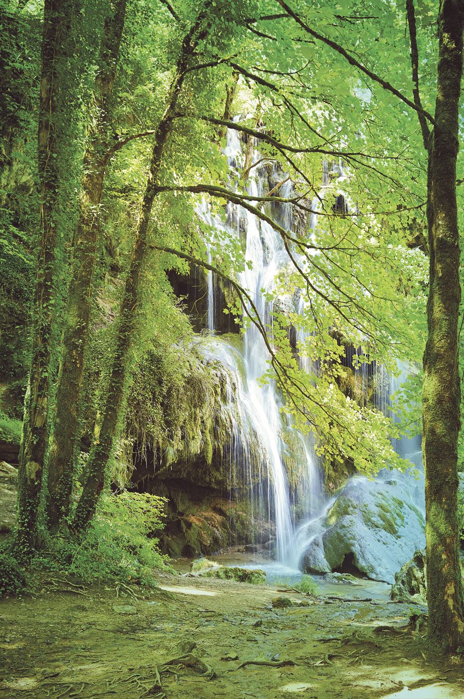 Eijffinger tapeet Wallpower junior 364134