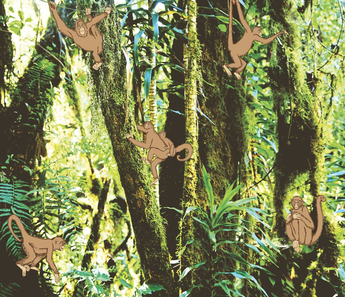 Eijffinger tapeet Wallpower junior 364155