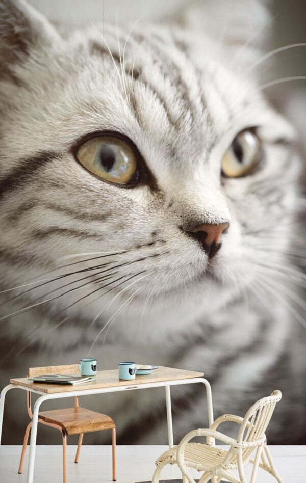 Eijffinger tapeet Wallpower junior 364123