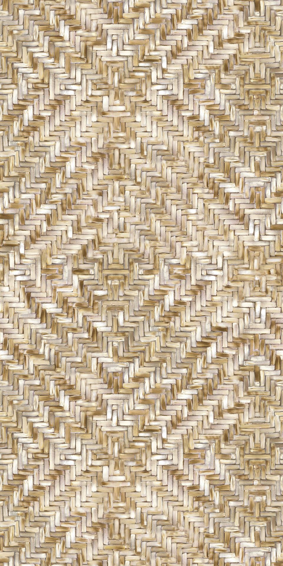 Eijffinger tapeet Terra 391563