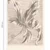 Eijffinger tapeet Masterpiece 358117