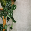 Eijffinger tapeet Skin 300570