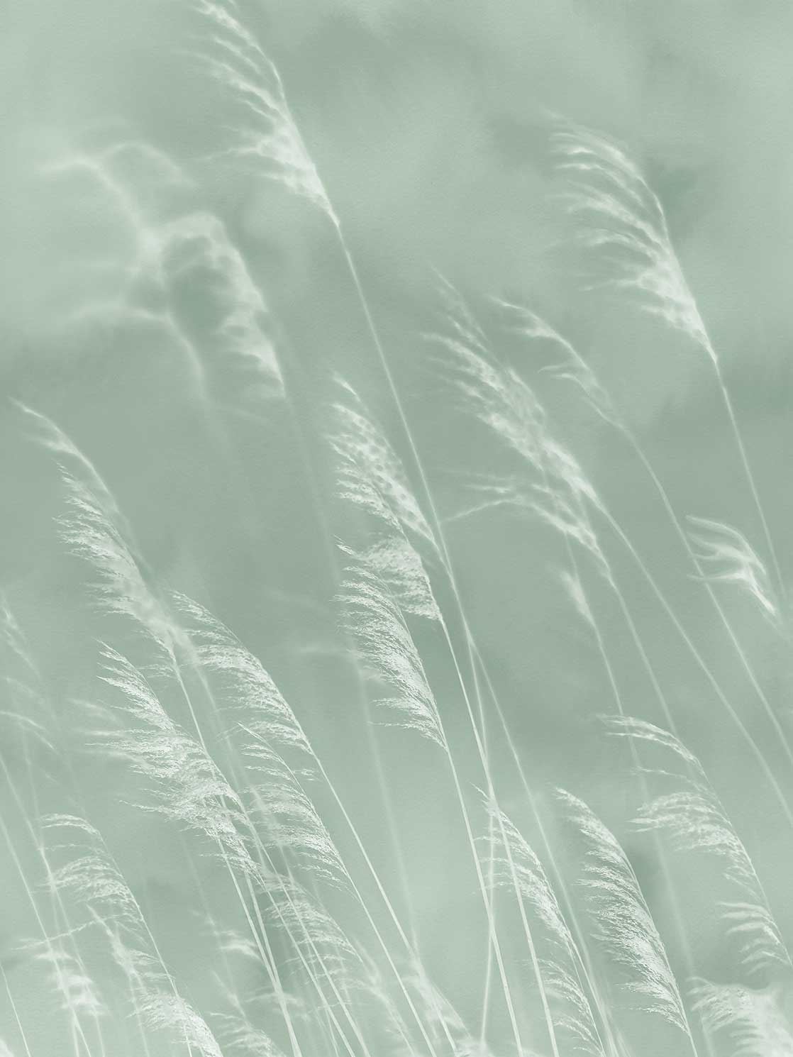 Eijffinger tapeet Waterfront 300901