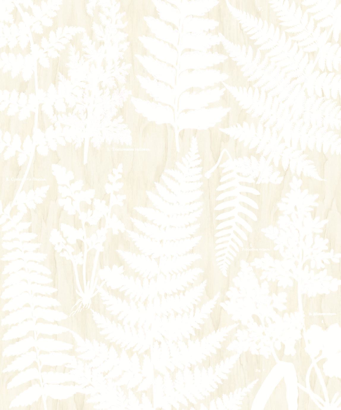 Eijffinger tapeet Wallpower favourites 309019