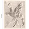 Eijffinger tapeet Wallpower favourites 309032