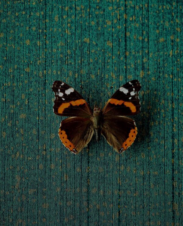 Eijffinger tapeet Museum 307351