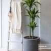 Eijffinger tapeet Enso 386534