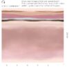Eijffinger tapeet Twist 318070