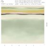 Eijffinger tapeet Twist 318071