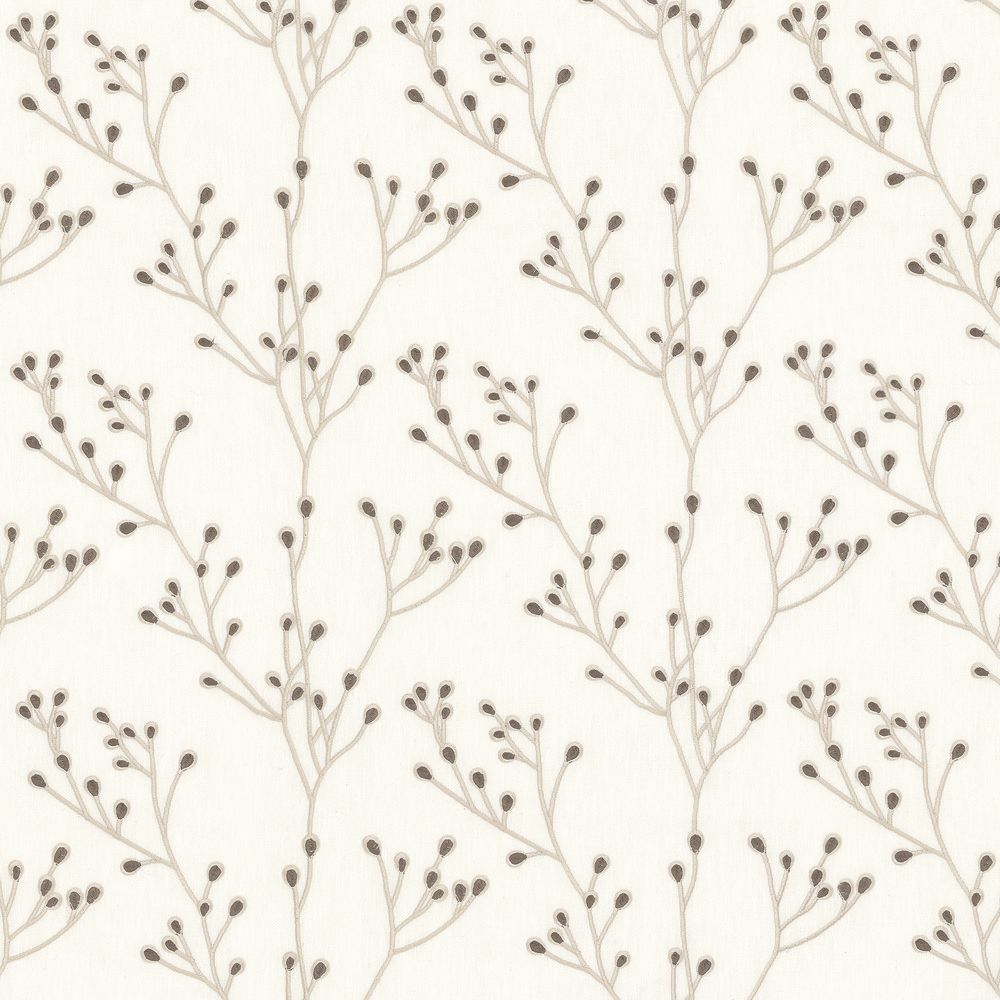 15784 - Left211 Camengo kangas Papille Carbone