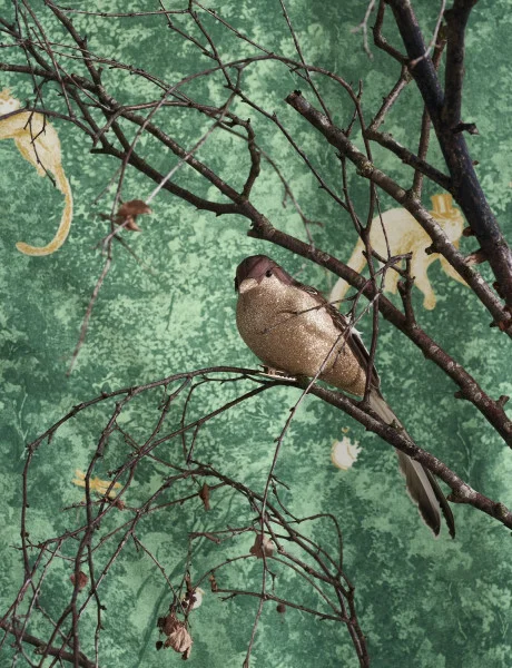 Casadeco tapeet Jardin Des Merveilles