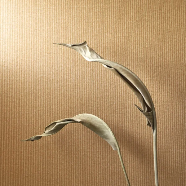 Casadeco tapeet Papier Kraft