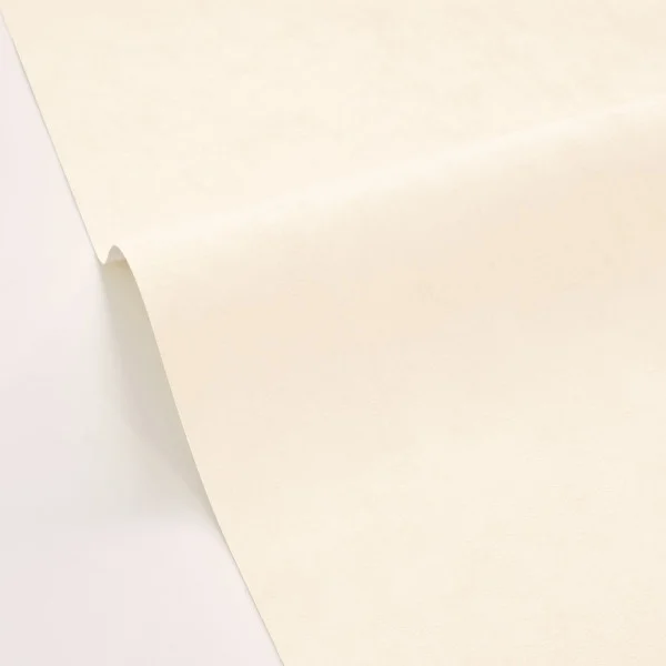 Caselio tapeet Uni Mat