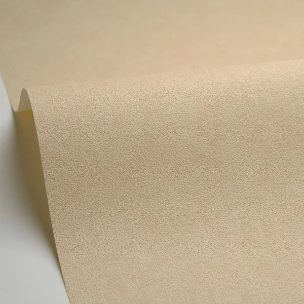 Caselio tapeet Uni Mat