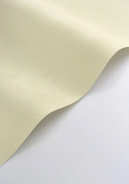 Casadeco tapeet Nest