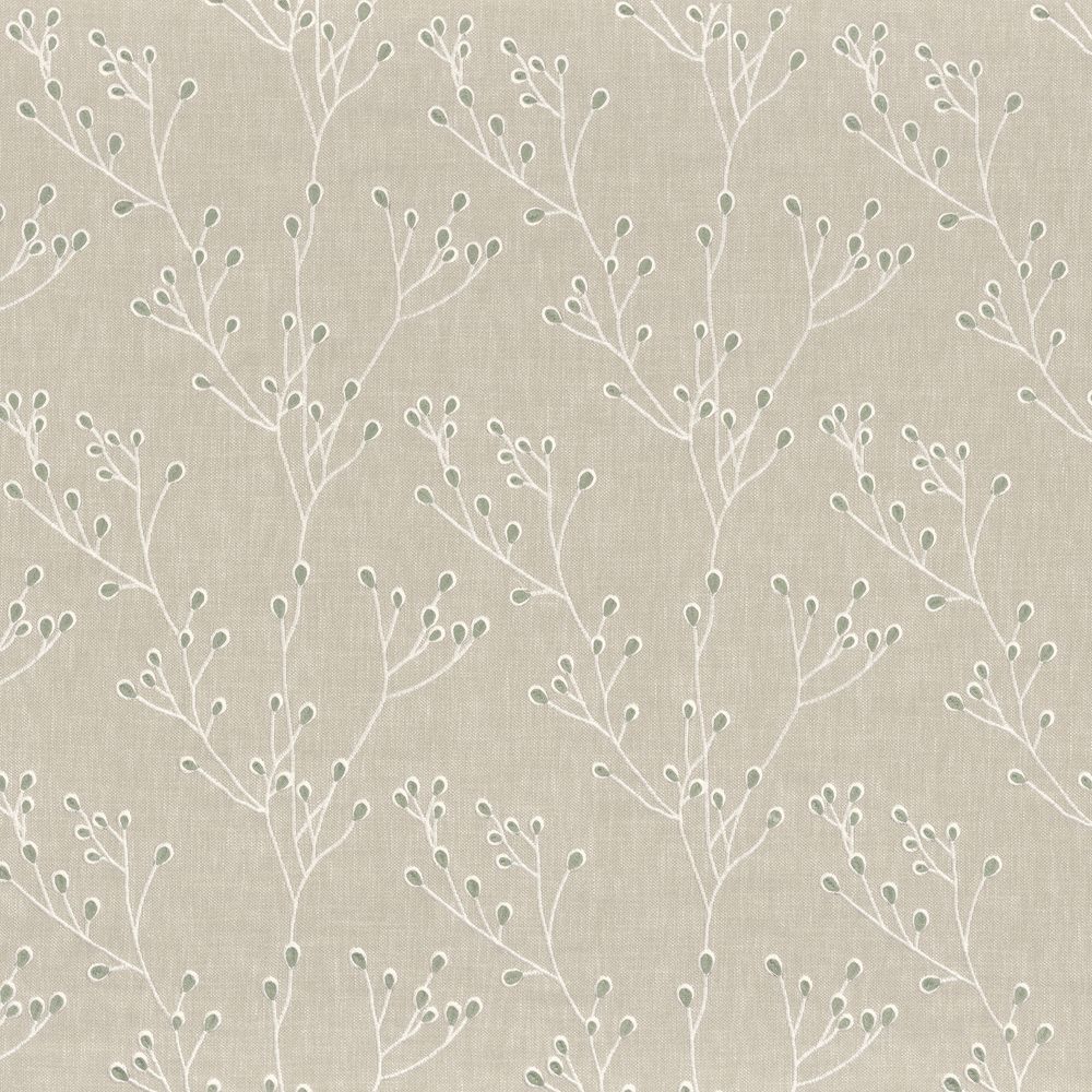 15829 - Left211 Camengo kangas Papille Lichen