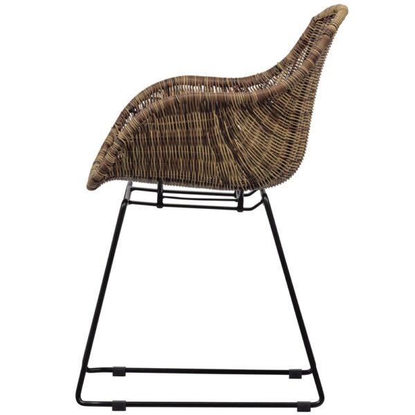 De Eekhoorn aiatool Collection