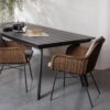 De Eekhoorn lauatool Collection