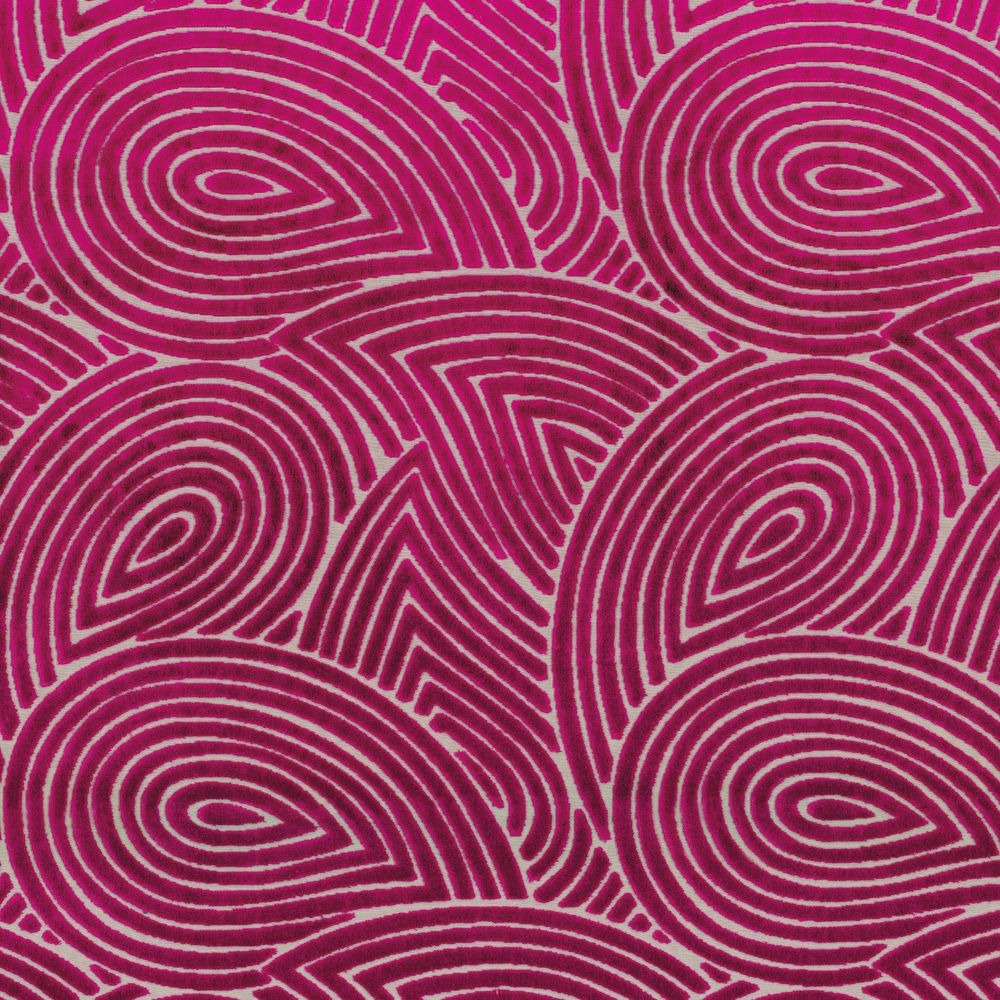 Camengo kangas Plumage Fuschia