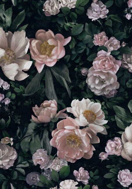Boråstapeter tapeet New Dawn Rose