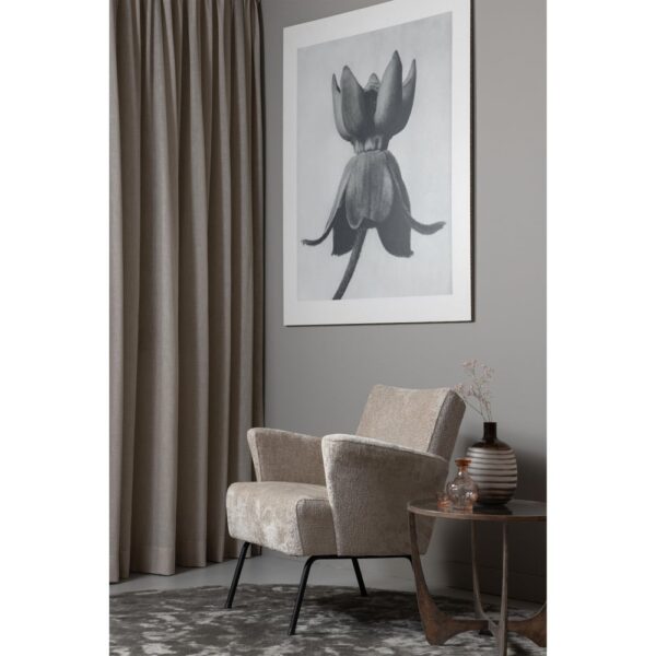 De Eekhoorn tugitool Muse Collection