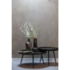 De Eekhoorn abilaud Bounds XL