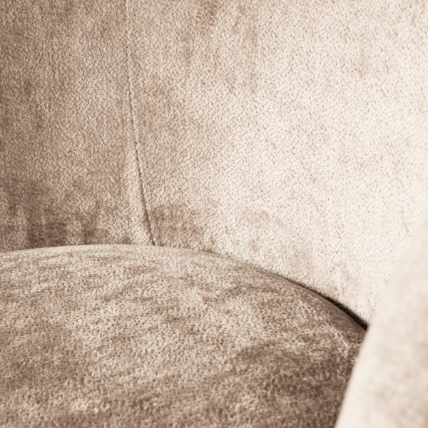 De Eekhoorn tugitool Popular