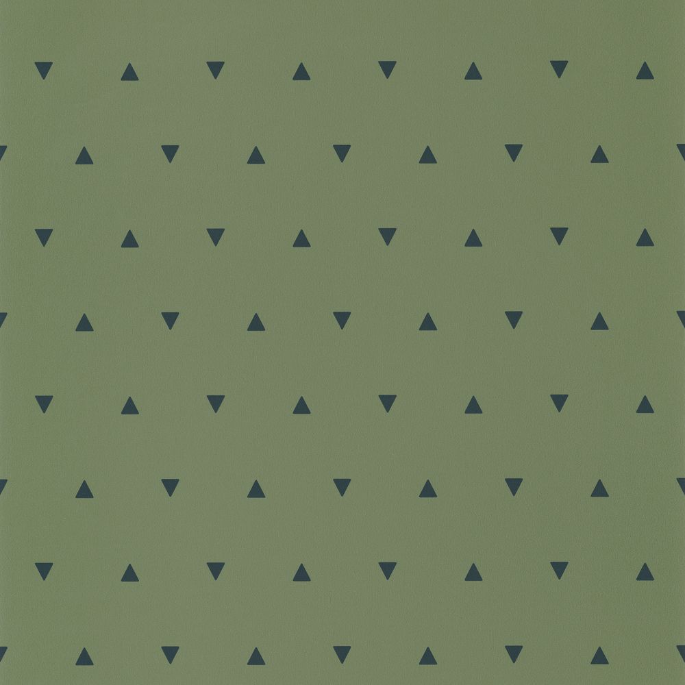 AdCHFZYTie Caselio tapeet Our Planet Bermuda Triangle