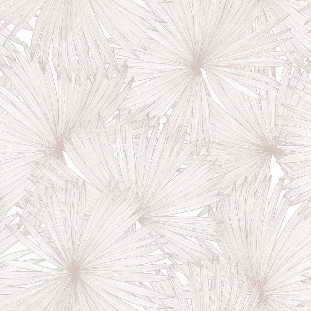 Caselio tapeet So White 4 Coconut